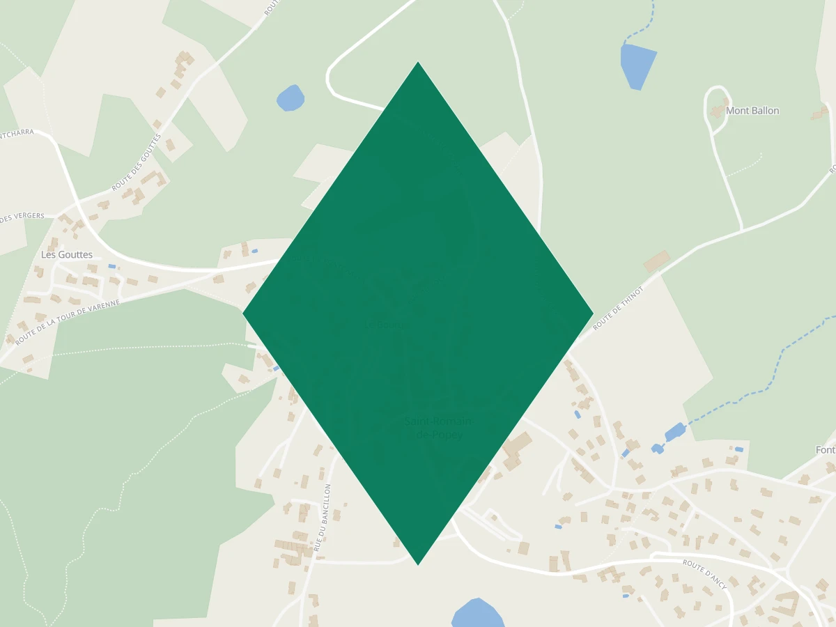 Carte des communes à 45 minutes de Lyon